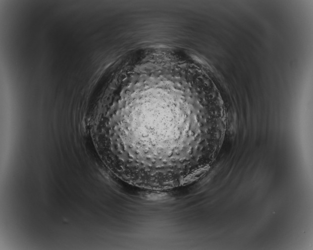X0000087680669200705041029