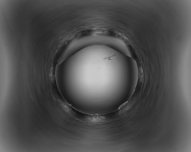 X0000087680670200705041030