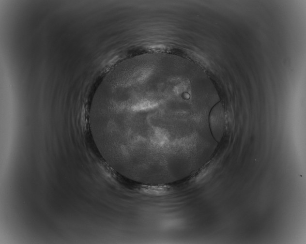 X0000087680671200705041030