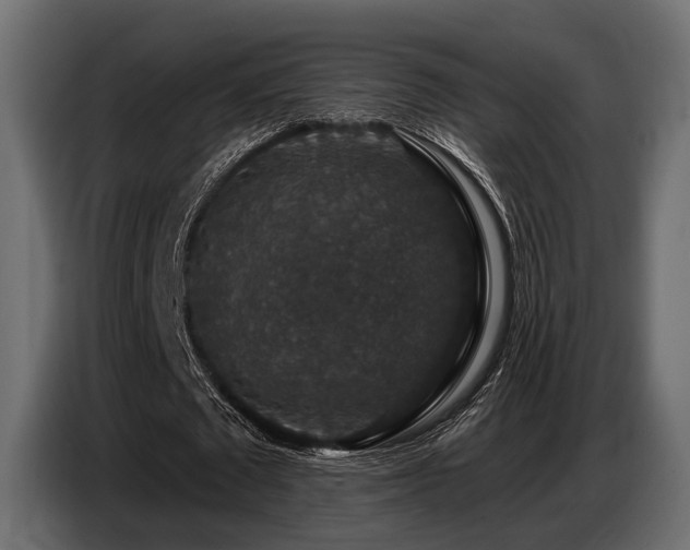 X0000087680673200705041029