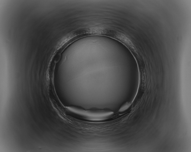 X0000087680674200705041029