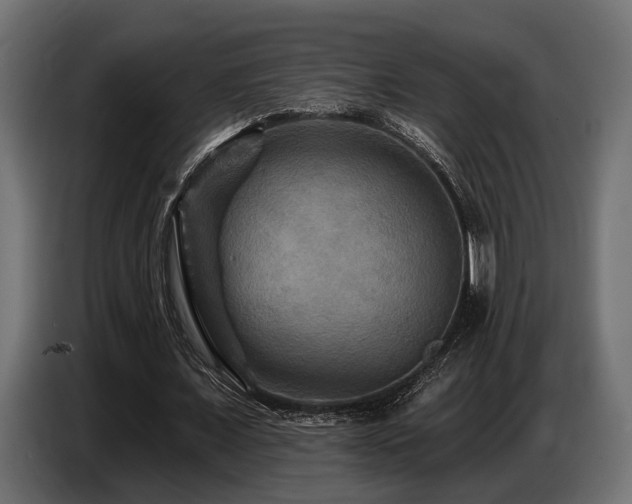 X0000087680675200705041029