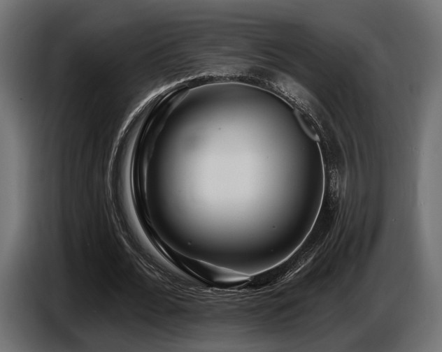 X0000087680676200705041029