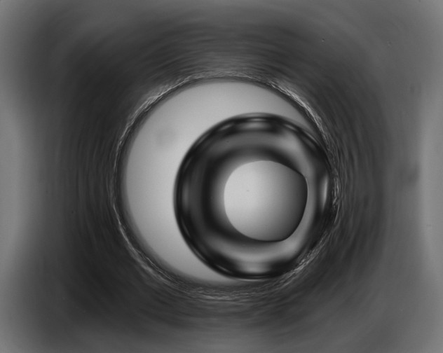 X0000087680677200705041029