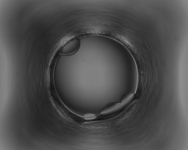 X0000087680678200705041029