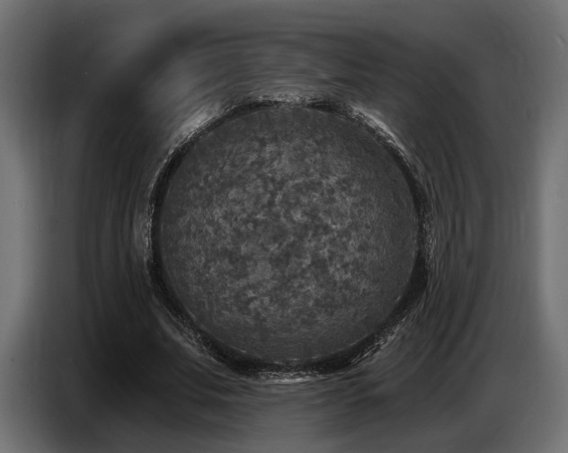 X0000087680679200705041029