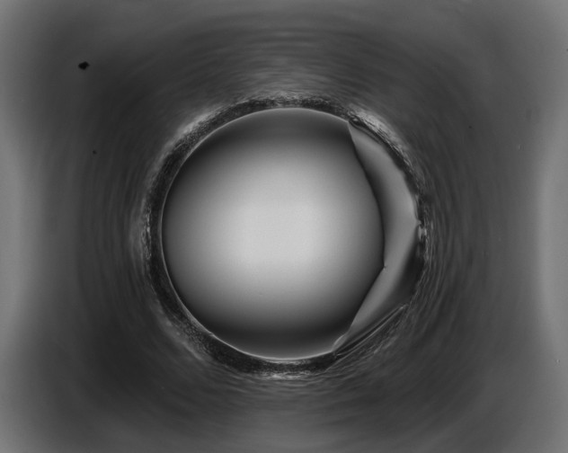 X0000087680680200705041029