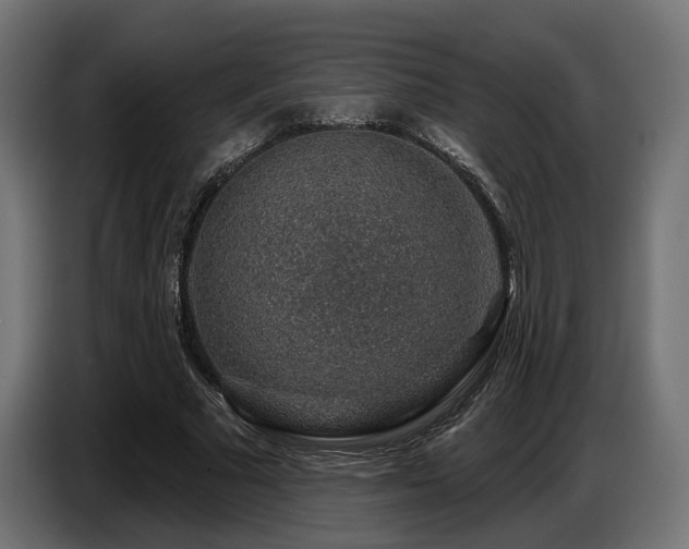 X0000087680681200705041029