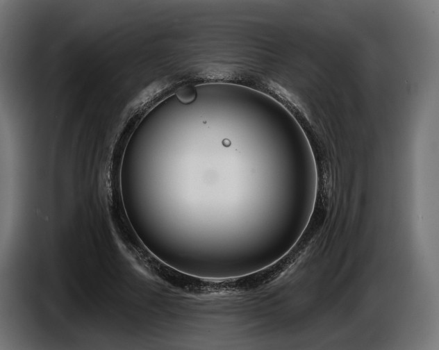 X0000087680682200705041029