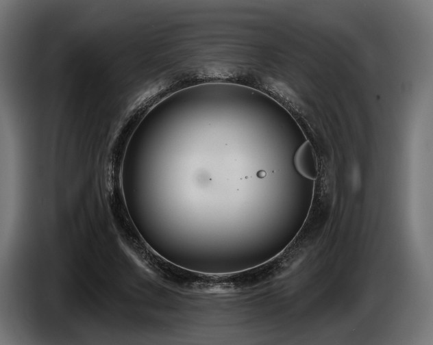 X0000087680683200705041029