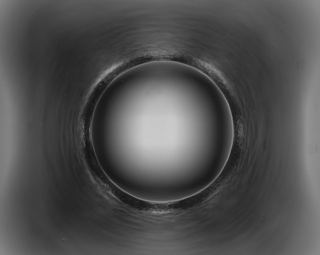 X0000087680684200705041029