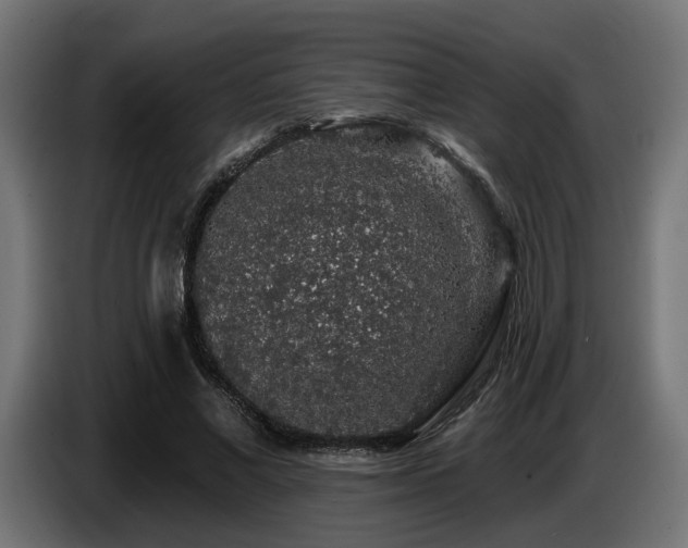 X0000087680685200705041029