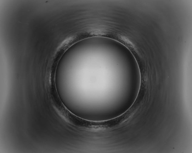 X0000087680686200705041029