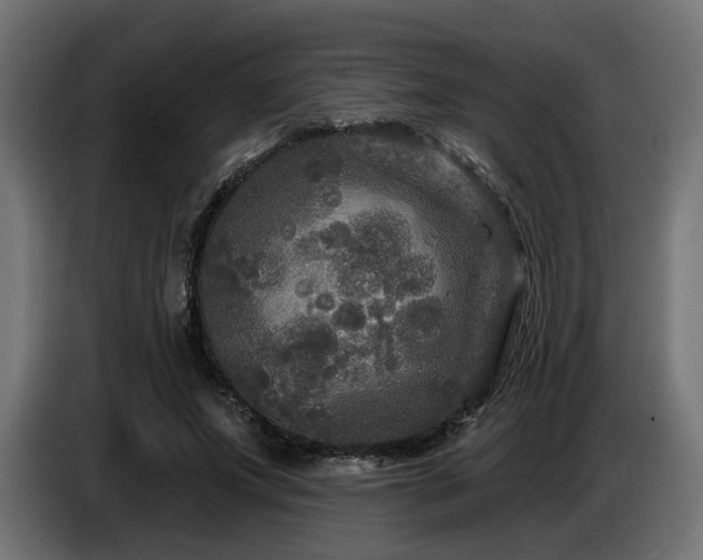 X0000087680687200705041029
