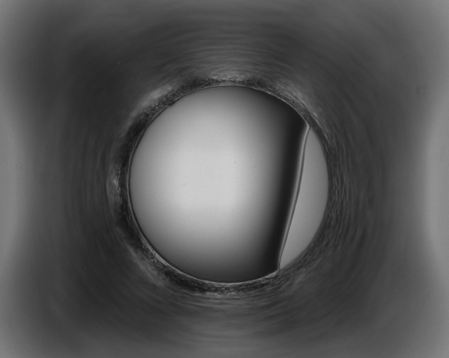 X0000087680688200705041029