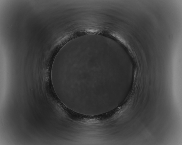 X0000087680689200705041029
