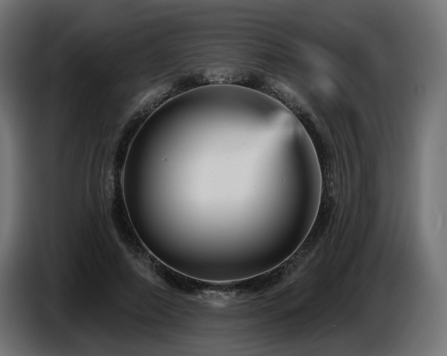 X0000087680690200705041029