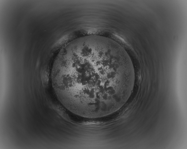 X0000087680691200705041029
