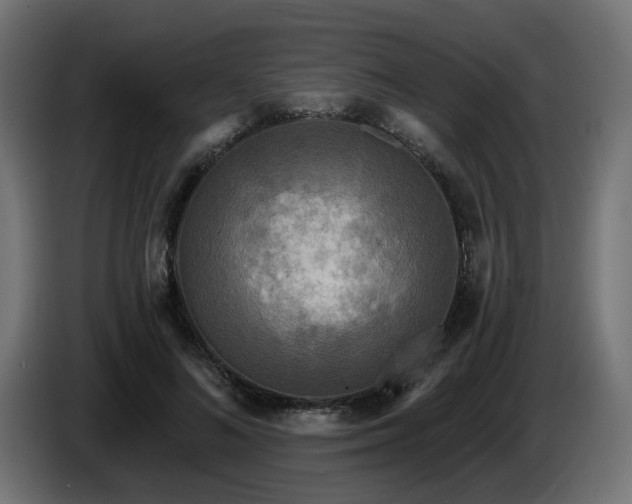 X0000087680692200705041029