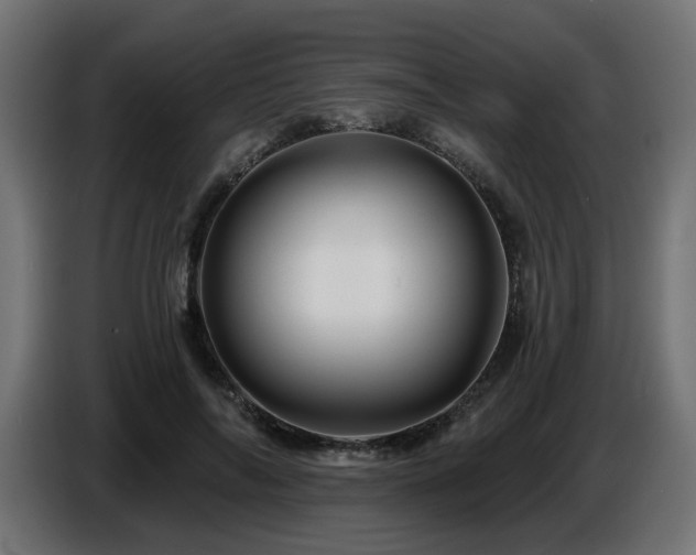 X0000087680694200705041029