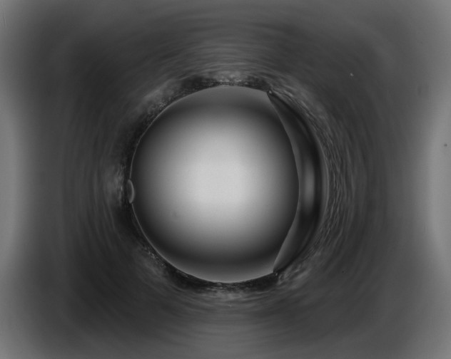 X0000087680697200705041029
