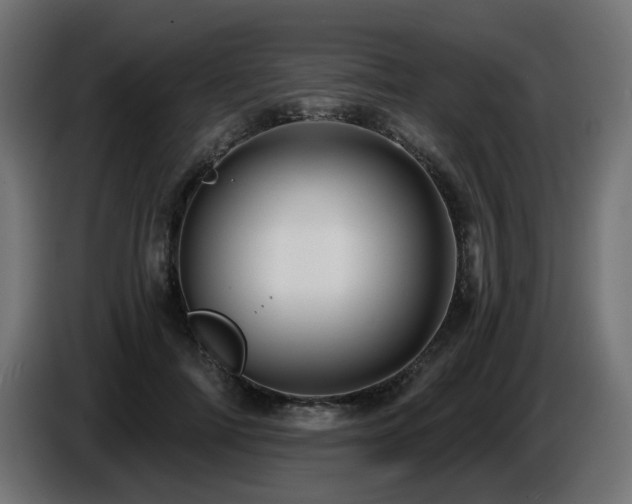X0000087680698200705041029