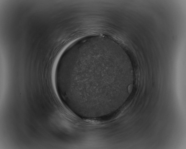 X0000087680699200705041029
