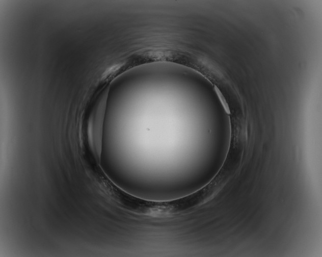 X0000087680700200705041029