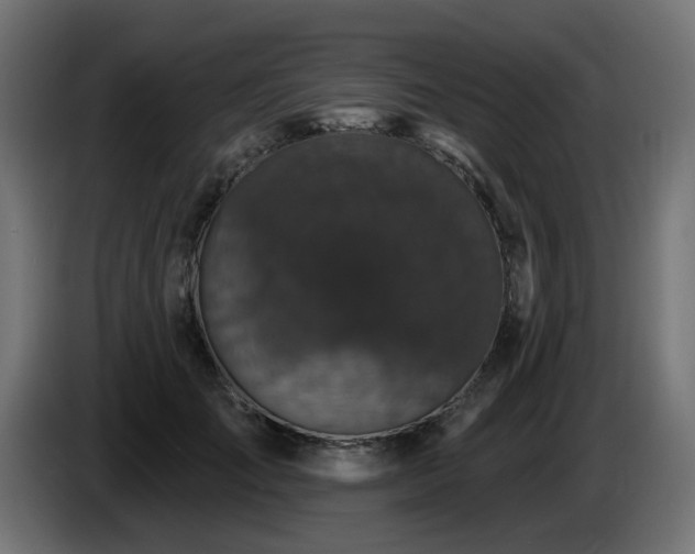 X0000087680701200705041029