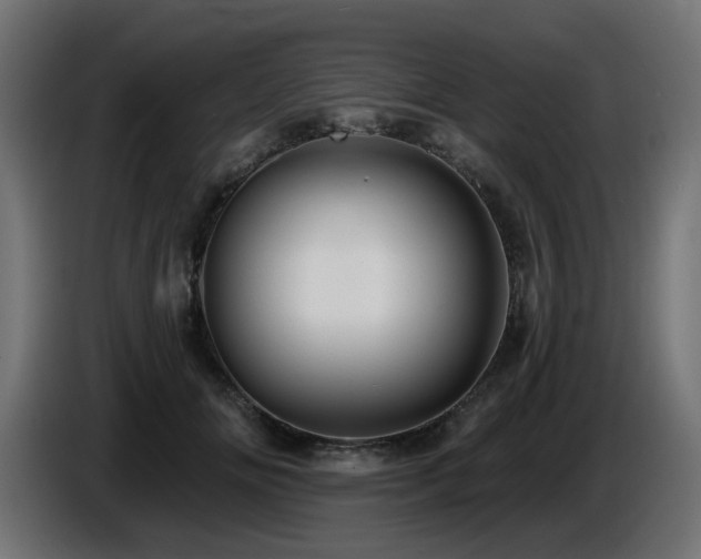 X0000087680702200705041029