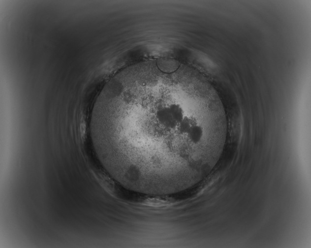 X0000087680703200705041029