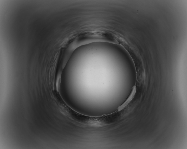 X0000087680704200705041029