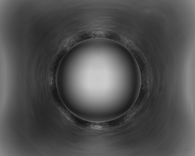 X0000087680706200705041029