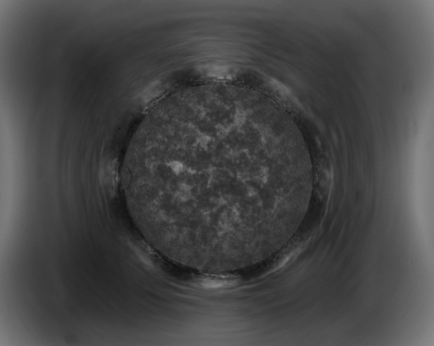 X0000087680707200705041029