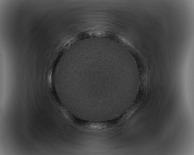 X0000087680709200705041029