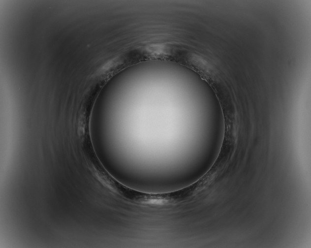X0000087680710200705041029