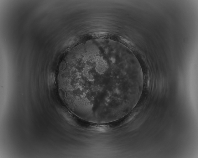 X0000087680711200705041029