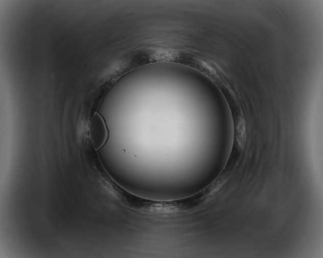 X0000087680714200705041029