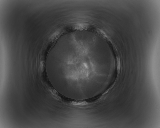X0000087680716200705041028