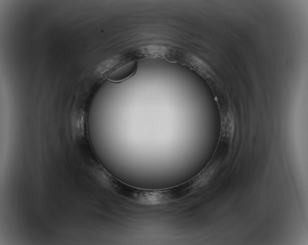X0000087680717200705041028