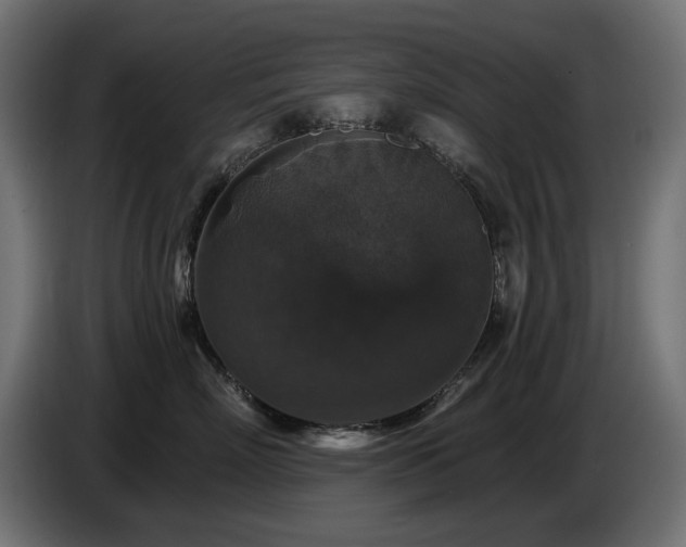X0000087680718200705041028