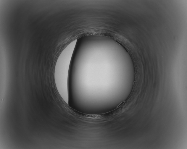 X0000087680720200705041028
