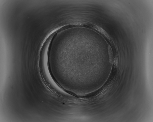 X0000087680724200705041028