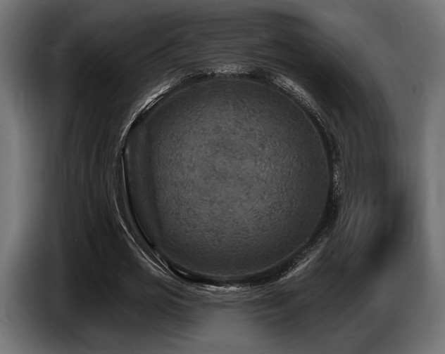 X0000087680725200705041028