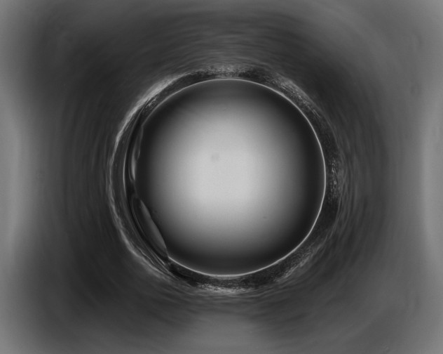 X0000087680726200705041028
