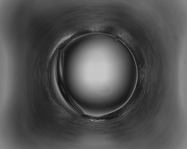 X0000087680727200705041028