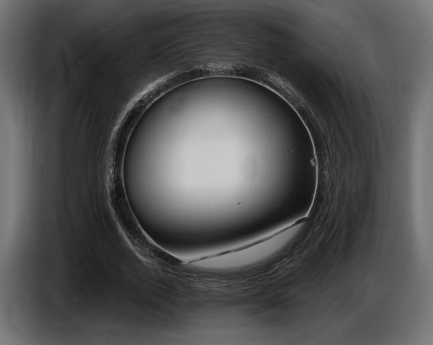 X0000087680728200705041028