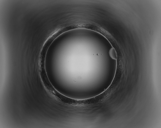 X0000087680730200705041028