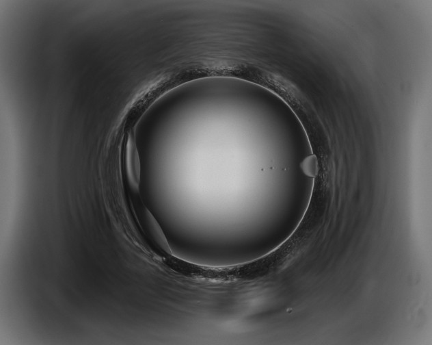 X0000087680731200705041028