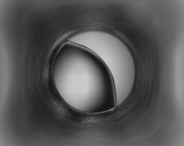 X0000087680732200705041028